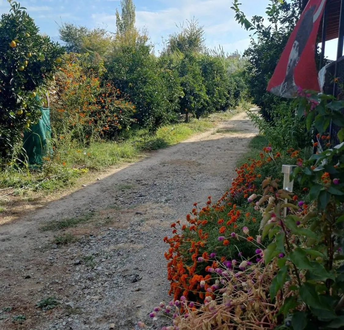 Villa Ayla Φετιγιέ Τουρκία